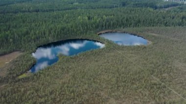 Lammin-Suo Bataklık Doğa Koruma Alanı 'nın havadan görünüşü, göldeki bulutların yansıması, Leningrad bölgesinde resim gibi bir yer. Orman kuşakları ve bataklık arazisi