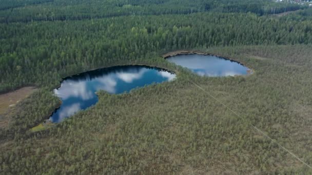 Légi kilátás a Lammin-Suo mocsár természetvédelmi terület, tükröződik a felhők a tóban, egy festői hely a leningrádi régióban. Erdőövek és mocsaras terep — Stock videók
