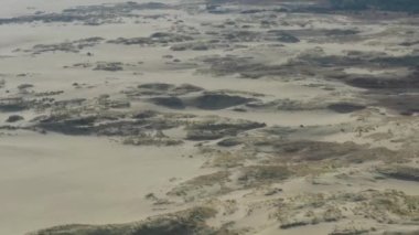 Curonian Tükürüğünün altın kum tepelerinin panoramik görüntüsü. Baltık Denizi 'nin kıyı şeridi, orman kuşağı, kum tepelerindeki çalılar ve çimenler.