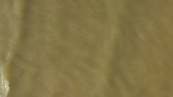 Flygfoto från topp till botten, vågorna i Östersjön rulla smidigt på en vacker sandstrand med vit sand, stark vind, vattenringar, grunt vatten. — Stockvideo
