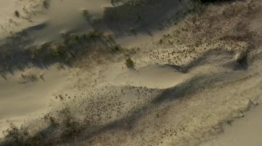 Curonian Tükürüğünün altın kum tepelerinin panoramik görüntüsü. Baltık Denizi 'nin kıyı şeridi, orman kuşağı, kum tepelerindeki çalılar ve çimenler.