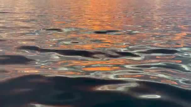 Soyut dalga arkaplanı ve günbatımı yansımaları suda. Denizde renkli gün batımı noktaları. Su yüzeyinin dalgaları, günbatımı ışığı — Stok video