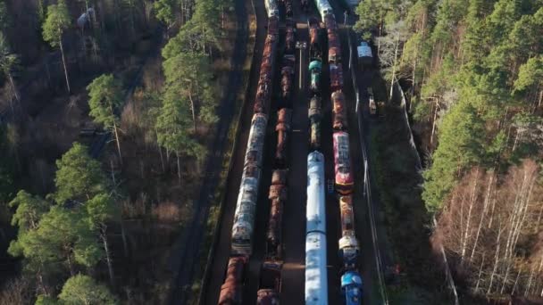 Aerial view of the stock platform of the Museum of railway transport in the open air, there are many different retro trains. Train depots — Stock Video