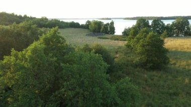 Leningrad bölgesinin Priozersky bölgesindeki Otradnoye Gölü 'nün kıyısındaki vahşi adanın havadan görünüşü. Yeşil ağaçlar ve çimenler, kimse yok. Kamerayı ileri alıyorum..