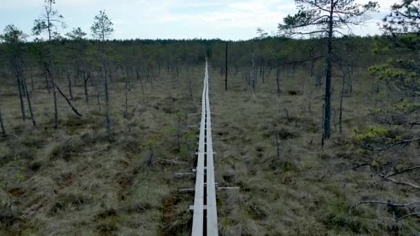 Luftaufnahme eines ökologischen Weges in einem Sumpf, einem sumpfigen Gebiet, einer Holzbrücke. Das Naturschutzgebiet des Lammin-Suo-Sumpfstaates — Stockvideo