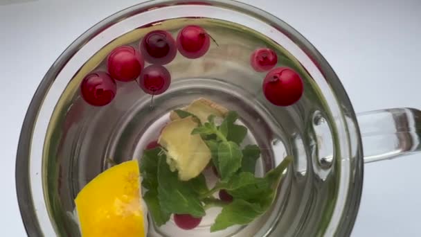 Ζεστό σπιτικό ποτό από φυσικό cranberry, λεμόνι και δυόσμο. Για τη θεραπεία κρυολογημάτων και βήχα. Φαρμακευτικό νερό σε ποτήρι. Η έννοια της καθαρής διατροφής, της υγείας. — Αρχείο Βίντεο