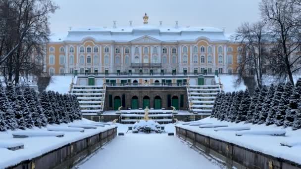 Paesaggio invernale in un parco pubblico. Il Grand Palace Museum nel parco inferiore di Peterhof. Il canale del mare. Abete coperto di neve.Russia, Peterhof, 11.01.2022 — Video Stock