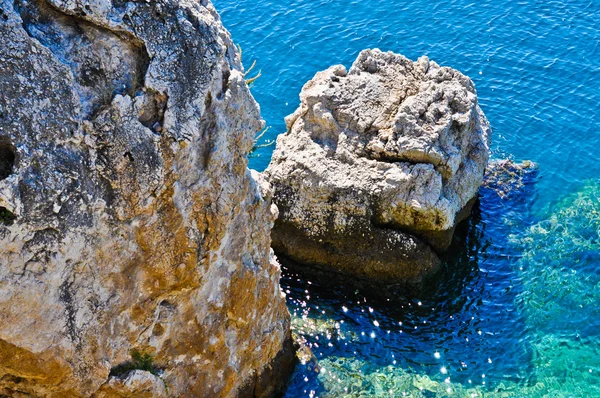 sustipanac Adası yakınlarında pirovac Hırvatistan