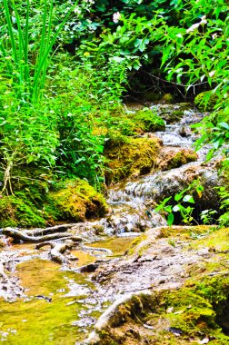 Krka Milli Parkı Hırvatistan