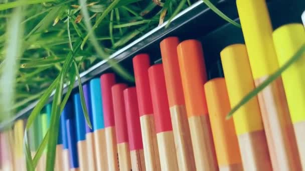 鉄の箱の中の色のついた木製の鉛筆は緑の草の中にある。垂直ビデオ — ストック動画