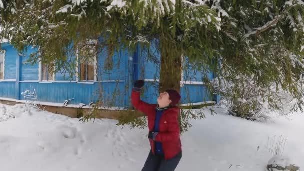 IZBORSK, RUSLAND - JANUARI 30, 2021: vrouw poetst sneeuw van takken van dennenboom — Stockvideo