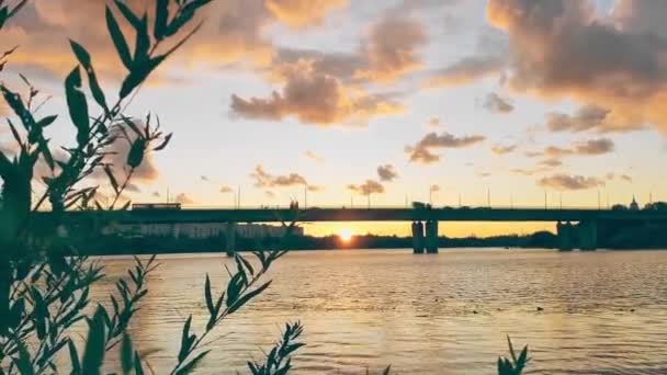 Καλοκαίρι, πόλη, ποτάμι ηλιοβασίλεμα. Ο ήλιος δύει ορίζοντα. Σιλουέτα γέφυρας μεταφοράς — Αρχείο Βίντεο