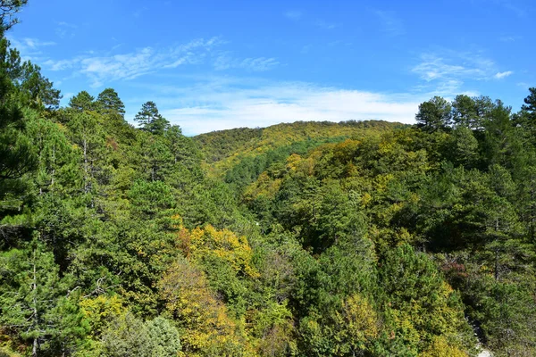 Autumn landscape of mountains overgrown with different trees, forest. Deciduous trees with colorful autumn colors on the mountainside. Autumn forest in the reserve. — 图库照片