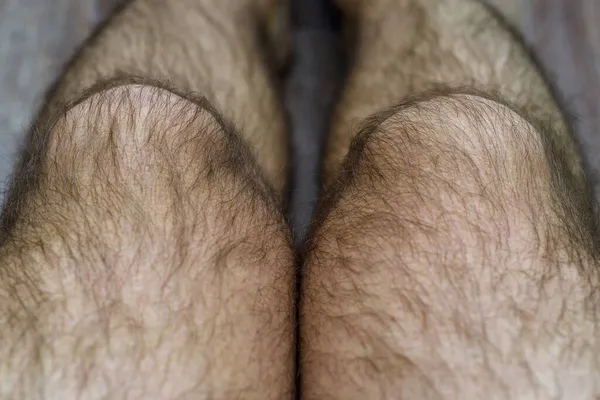 very hairy male legs. The beauty of the male body.