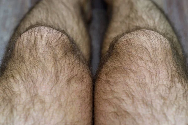 非常毛茸茸的男性腿 男性身体的美丽 图库图片