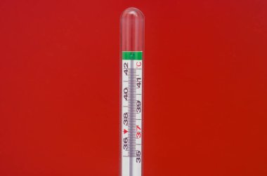 Kırmızı arka planda cam cıva termometresi. İlaç ve sağlık.