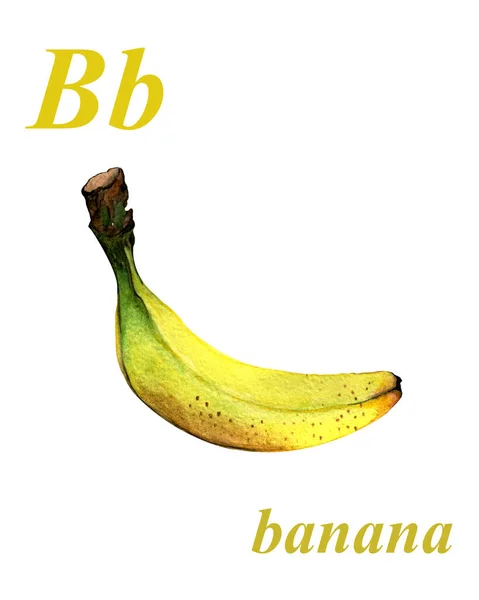 Ilustração Aquarela Uma Banana Amarela Isolada Sobre Fundo Branco Abc — Fotografia de Stock