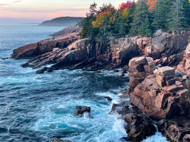 Acadia Ulusal Parkı, ME - ABD - 13 Ekim 2021: Kayalara ve renkli ağaçlara çarpan okyanus sörfünün yer aldığı Acadia Ulusal Parkı 'ndaki Newport Koyu' nda sonbahar manzarası.