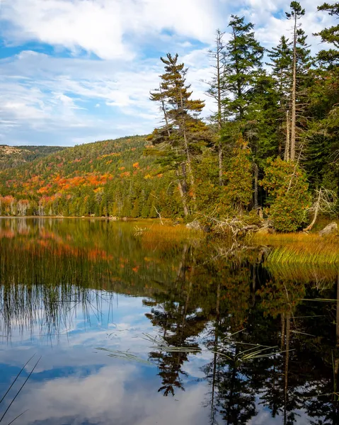 Parc National Acadie États Unis Octobre 2021 Vue Verticale Automnale — Photo