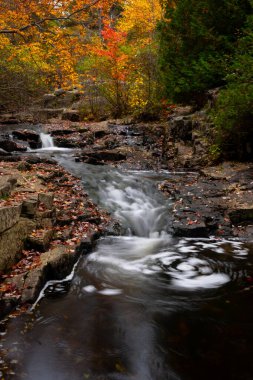Acadia Ulusal Parkı, ME - ABD - 15 Ekim 2021: Acadia Ulusal Parkı 'ndaki Duck Brook Deresi boyunca şelalelerin dikey uzun açılı görüntüsü.