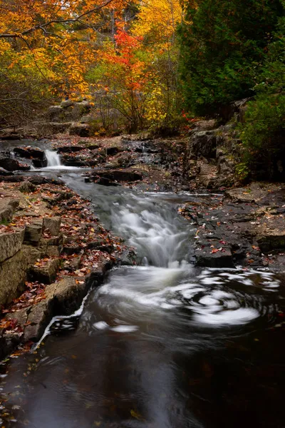 Parque Nacional Acadia Estados Unidos Octubre 2021 Vista Vertical Larga — Foto de Stock