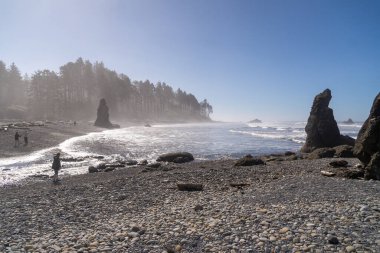 Ruby Beach, WA - ABD - 21 Eylül 2021: Olimpiyat Ulusal Parkı 'ndaki Ruby Beach' teki deniz yığınlarına hayran ziyaretçilerin yatay görüntüsü