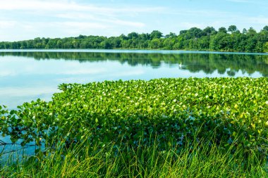 Valley Cottage, New York - ABD - New York 'un tarihi Rockland Lake State Park' ındaki huzurlu Rockland Lake manzarası.