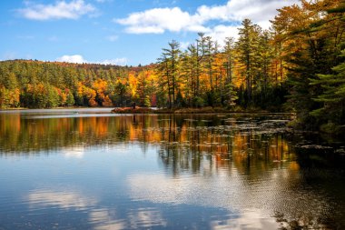 Londonderry, VT - ABD - 8 Ekim 2022 Vermonts Lowell Lake State Park 'taki 102 dönümlük Lowell Gölü manzaralı sonbahar manzarası. Suya yansıyan kırmızı, sarı portakal ağaçları.