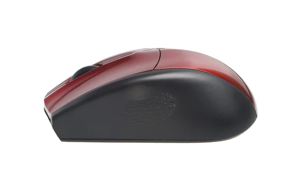 Computer mouse — Stock Photo, Image