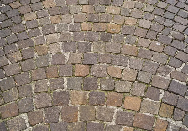 Paving stone — Stock Image Paving stone Stock Image