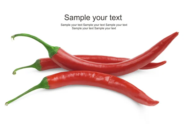 Punainen kuuma chili pippuri — kuvapankkivalokuva