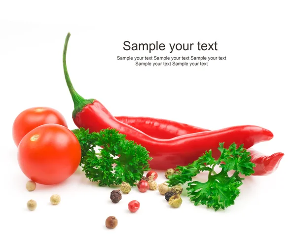 Tomaten und rote Chilischoten — Stockfoto