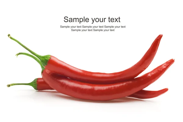 Red hot chili pepper isolated on a white background — Stock Photo, Image