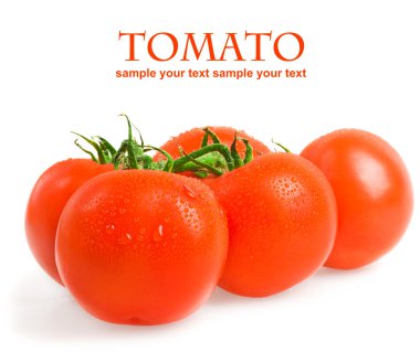 Domatesler