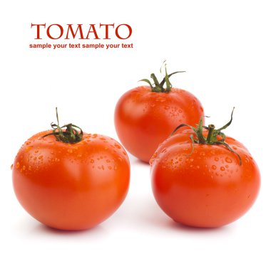 Domatesler