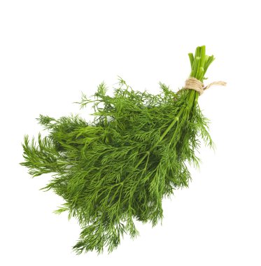 Dill beyaz arkaplanda izole edildi