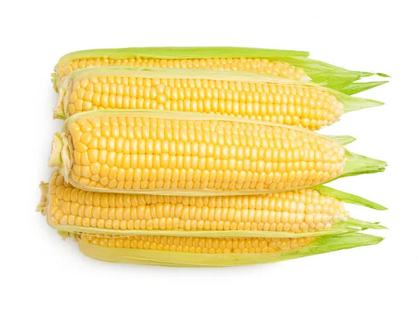 Kukuřice — Stock fotografie