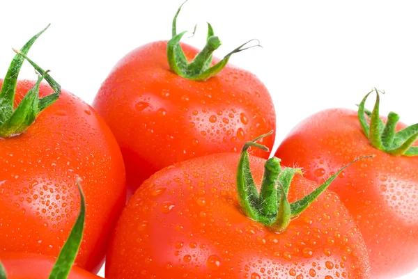 Tomatoes — Stock Photo, Image