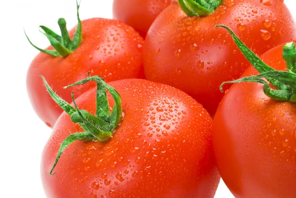 Tomatoes — Stock Photo, Image