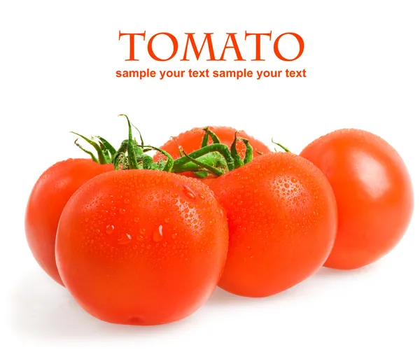 Tomates — Fotografia de Stock