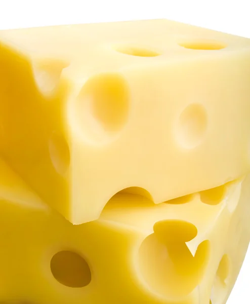 Cheese — Stock Photo, Image