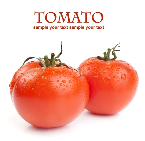 Tomaten — Stockfoto