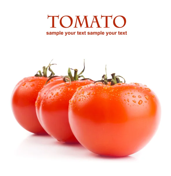 Tomatoes — Stock Photo, Image