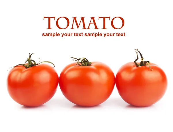 Tomatoes — Stock Photo, Image