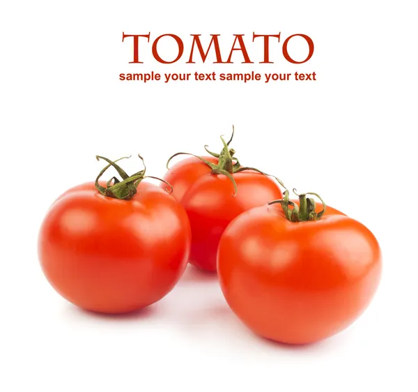 Tomates — Fotografia de Stock