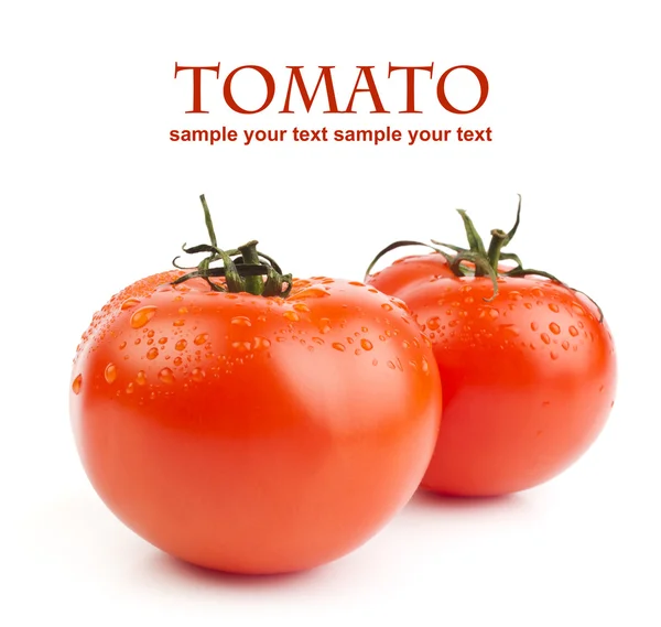 トマト — ストック写真
