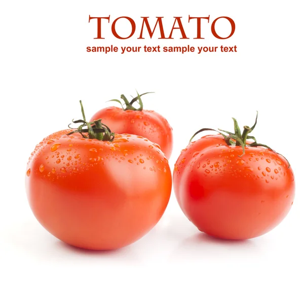 Tomaten — Stockfoto