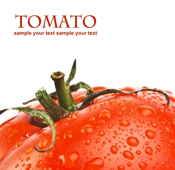 トマト — ストック写真