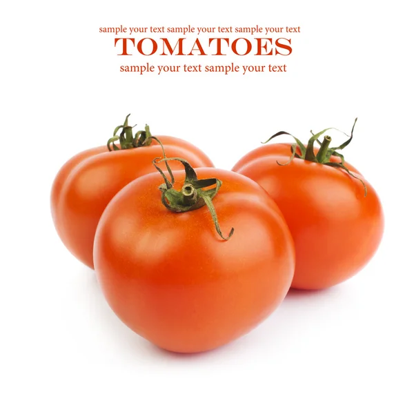 Tomatoes — Stock Photo, Image