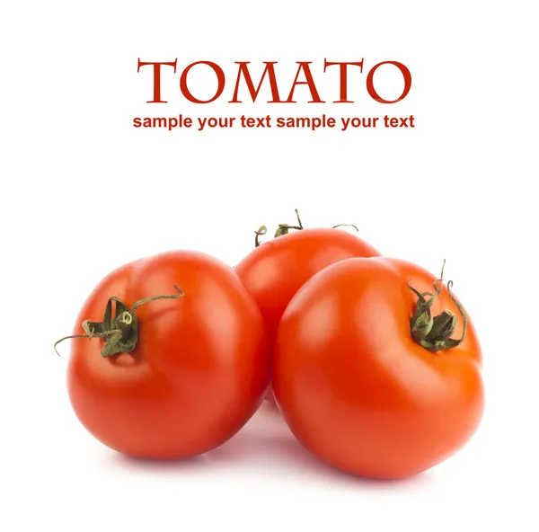 Tomatoes — Stock Photo, Image